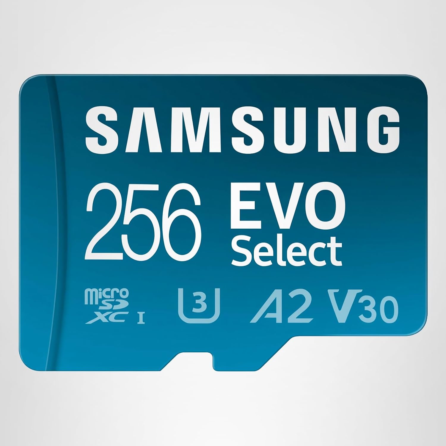 Tarjetas de Memoria para Nintendo Switch 1 y 2 - SD Express y MicroSDXC